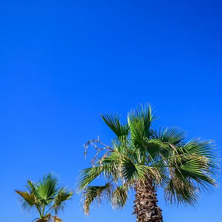 Batis Sea View *